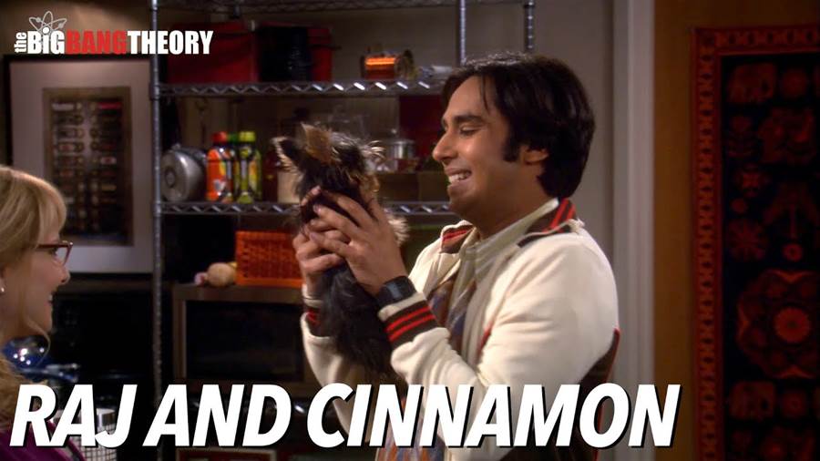 Raj and Cinnamon A Match Made in The Big Bang Theory's Quirky Universe